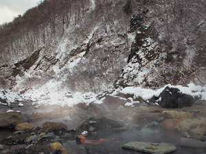 周辺の温泉